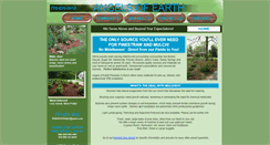 Desktop Screenshot of angelsofearth.com
